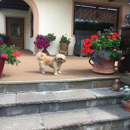 Bianca's Bb ゲストハウス ゼルデン