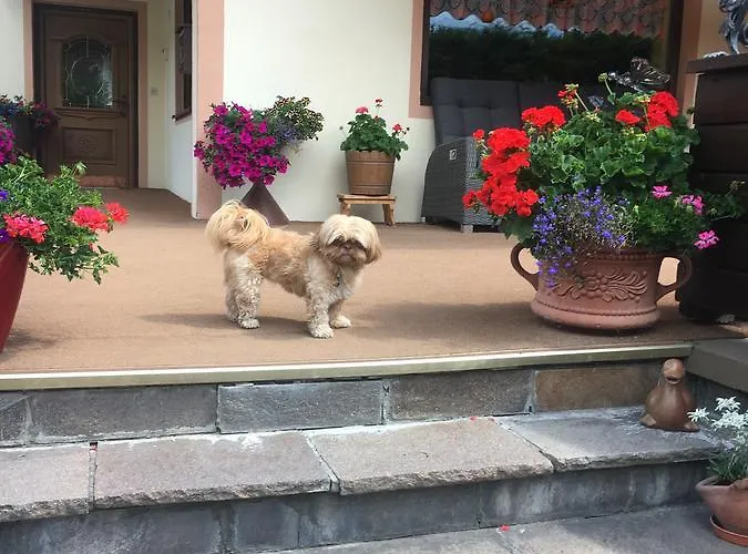 Bianca's Bb Guest house Solden